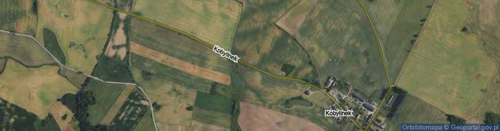 Zdjęcie satelitarne Kobylinek ul.