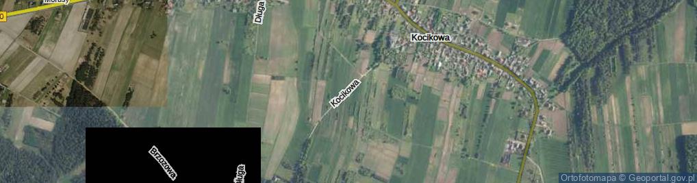 Zdjęcie satelitarne Kocikowa ul.