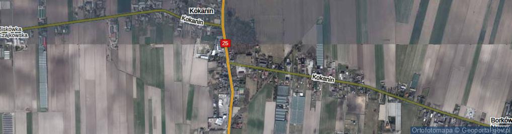 Zdjęcie satelitarne Kokanin ul.