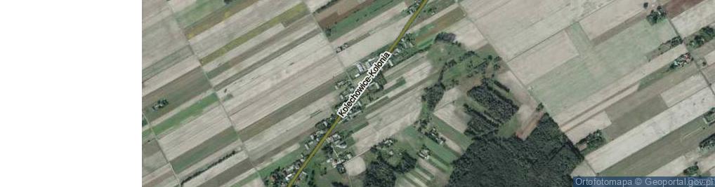 Zdjęcie satelitarne Kolechowice-Kolonia ul.