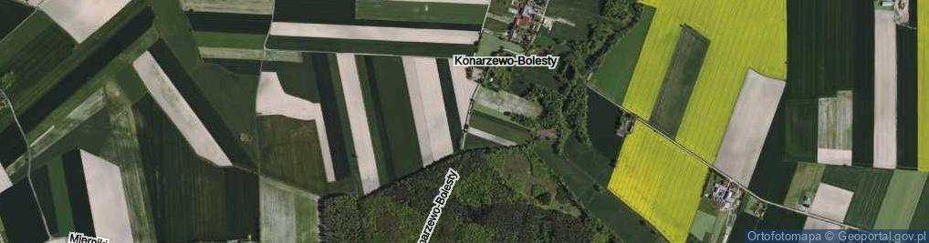 Zdjęcie satelitarne Konarzewo-Bolesty ul.