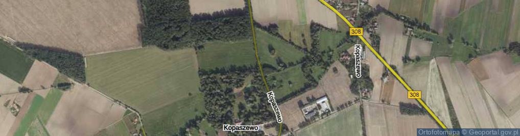 Zdjęcie satelitarne Kopaszewo ul.