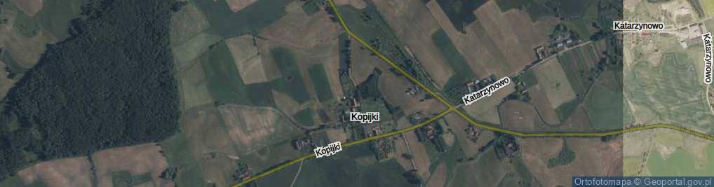 Zdjęcie satelitarne Kopijki ul.