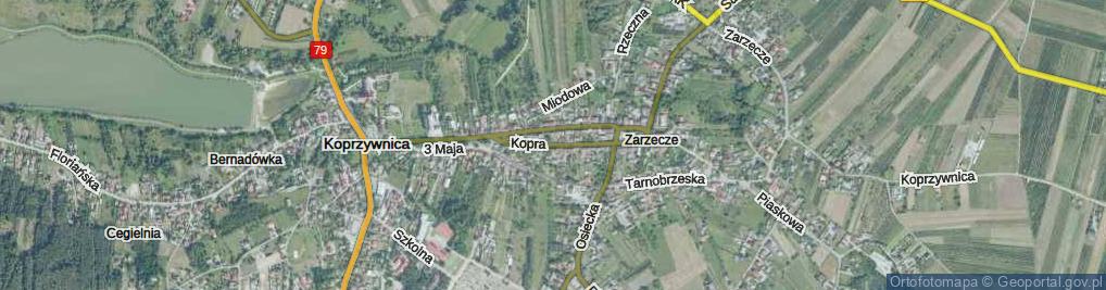 Zdjęcie satelitarne Kopra Stefana ul.