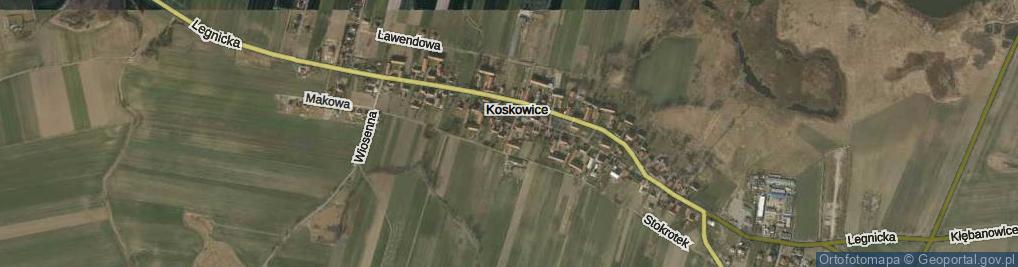 Zdjęcie satelitarne Koskowice ul.