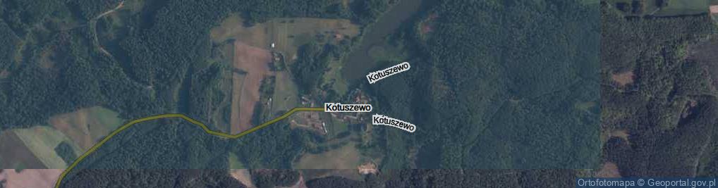 Zdjęcie satelitarne Kotuszewo ul.
