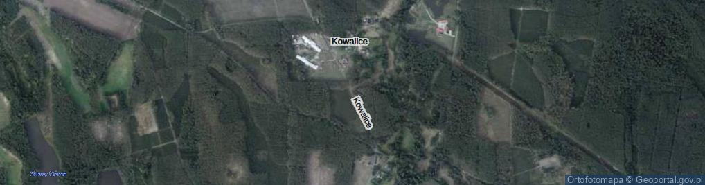 Zdjęcie satelitarne Kowalice ul.