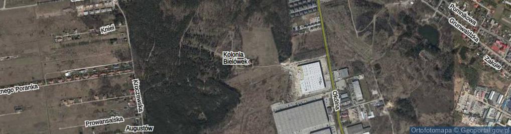 Zdjęcie satelitarne Kolonia Bielówek ul.