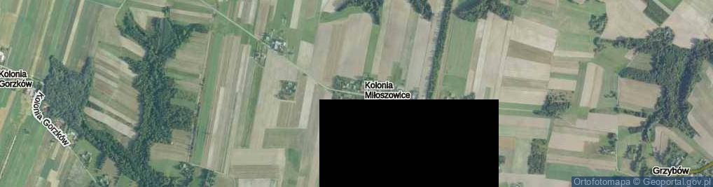 Zdjęcie satelitarne Kolonia Miłoszowice ul.
