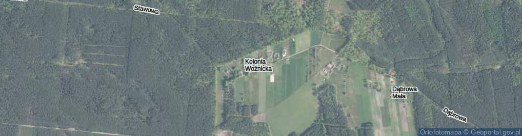 Zdjęcie satelitarne Kolonia Woźnicka ul.
