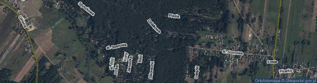 Zdjęcie satelitarne Kortowa ul.