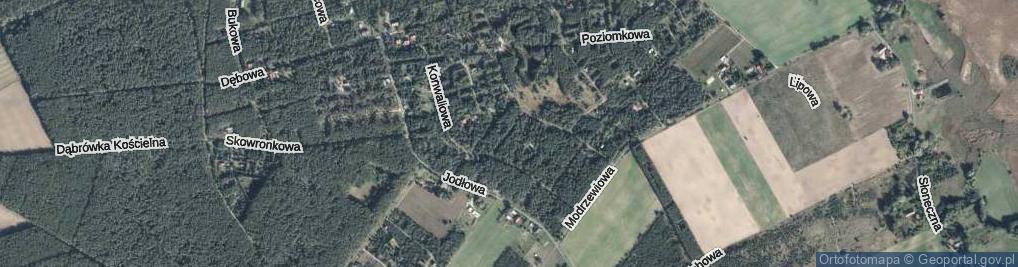 Zdjęcie satelitarne Krokusowa ul.