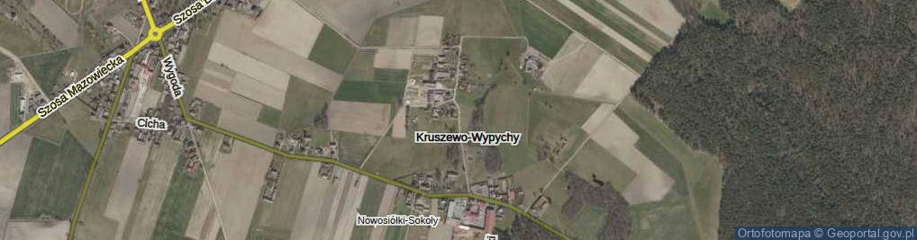 Zdjęcie satelitarne Kruszewo-Wypychy ul.