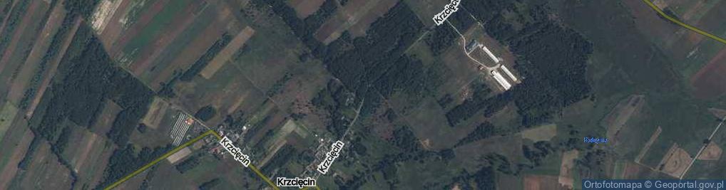 Zdjęcie satelitarne Krzcięcin ul.