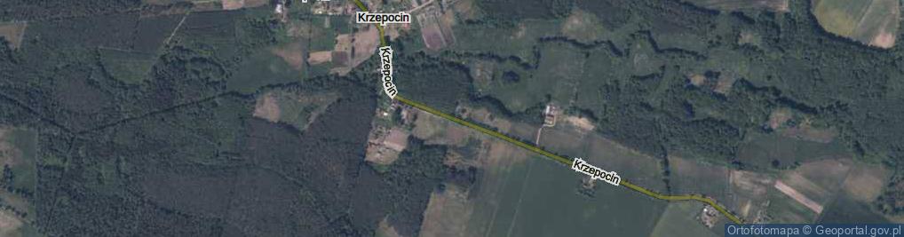 Zdjęcie satelitarne Krzepocin ul.