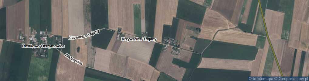 Zdjęcie satelitarne Krzywanice-Trojany ul.