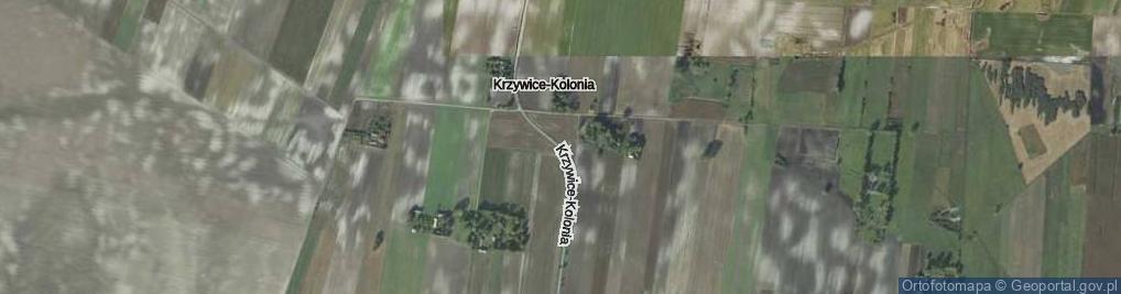 Zdjęcie satelitarne Krzywice-Kolonia ul.
