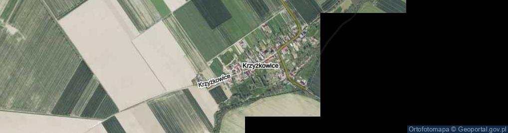 Zdjęcie satelitarne Krzyżkowice ul.