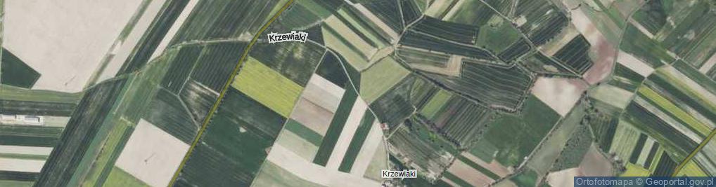 Zdjęcie satelitarne Krzewiaki ul.