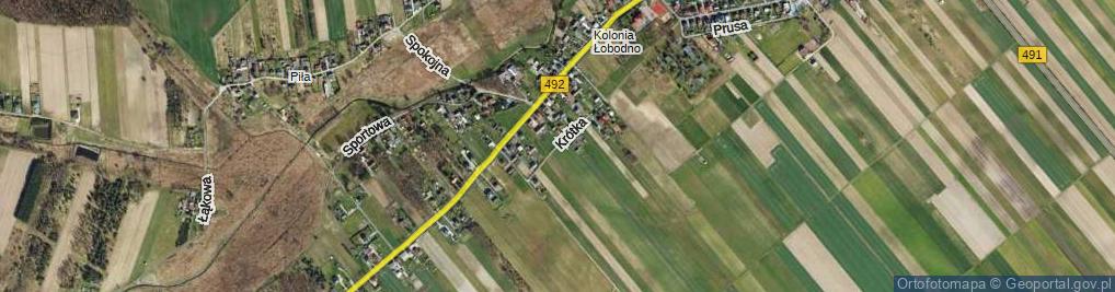 Zdjęcie satelitarne Krótka ul.