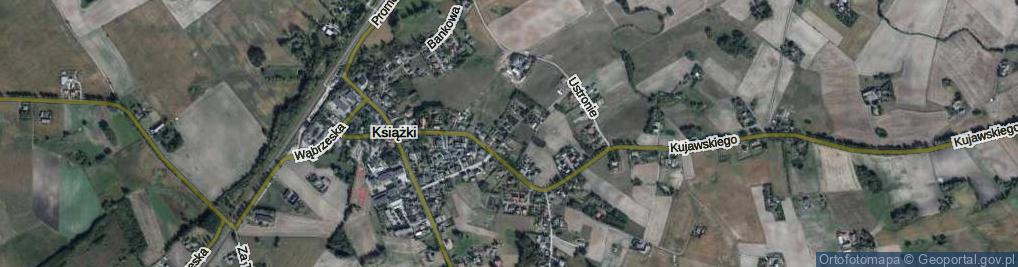 Zdjęcie satelitarne Książki ul.