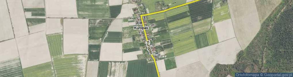 Zdjęcie satelitarne Kuropas ul.