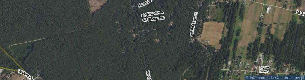 Zdjęcie satelitarne Kurkowa ul.