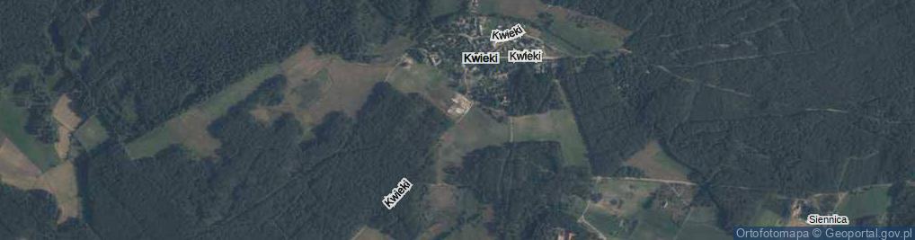 Zdjęcie satelitarne Kwieki ul.