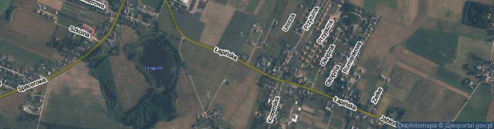 Zdjęcie satelitarne Łapińska ul.