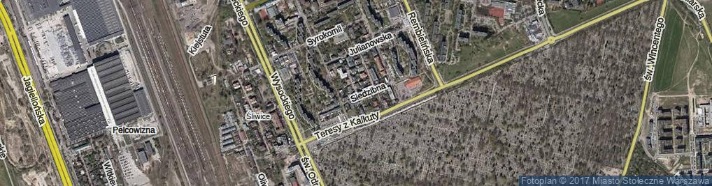 Zdjęcie satelitarne Łąkocińska ul.