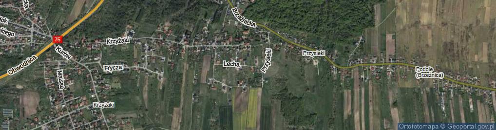 Zdjęcie satelitarne Lecha Tadeusza ul.