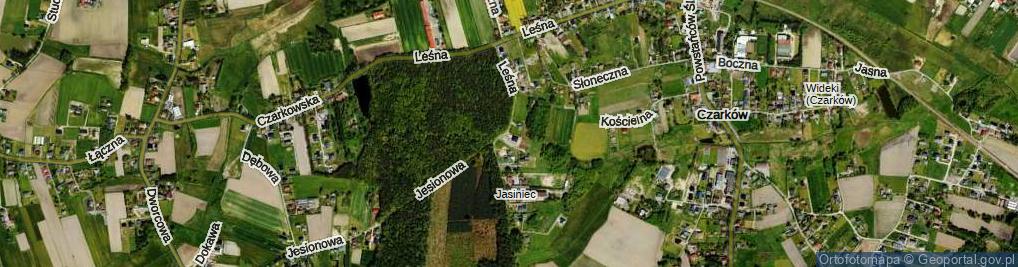 Zdjęcie satelitarne Leśna ul.