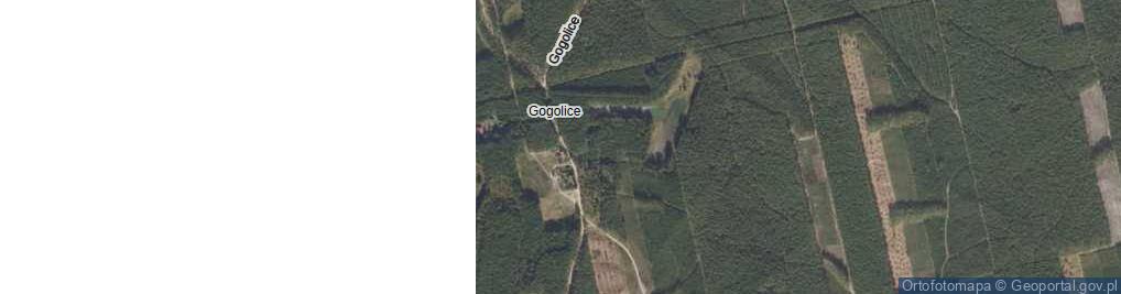 Zdjęcie satelitarne Leśnictwo Gogolice ul.