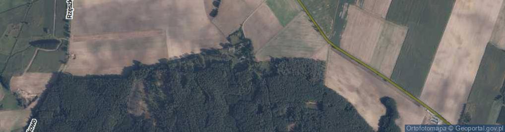 Zdjęcie satelitarne Leśnictwo Rzęskowo ul.