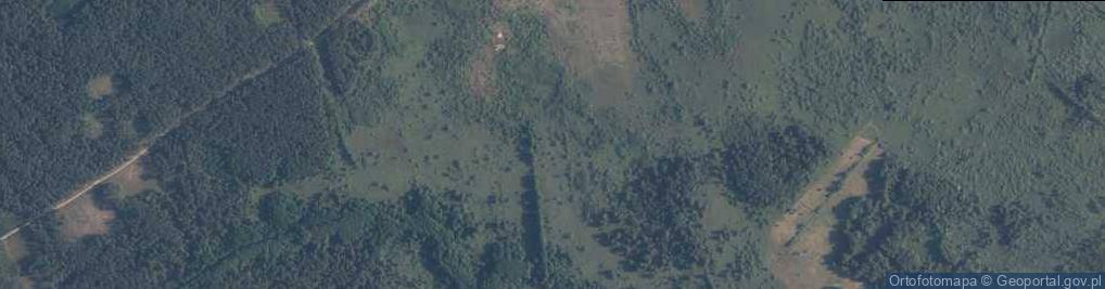 Zdjęcie satelitarne Leśnictwo Brokęcino ul.
