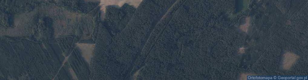 Zdjęcie satelitarne Leśnictwo Wieniec ul.