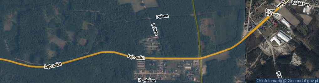 Zdjęcie satelitarne Leśna Polana ul.