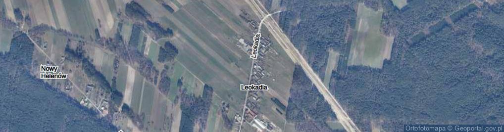 Zdjęcie satelitarne Leokadia ul.