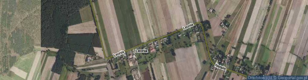 Zdjęcie satelitarne Leonia ul.