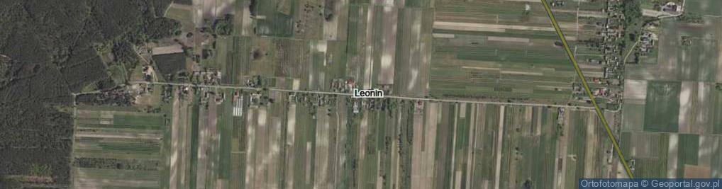 Zdjęcie satelitarne Leonin ul.