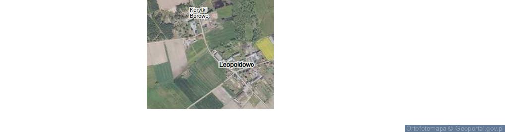Zdjęcie satelitarne Leopoldowo ul.