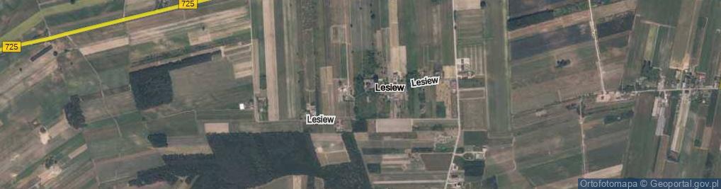 Zdjęcie satelitarne Lesiew ul.