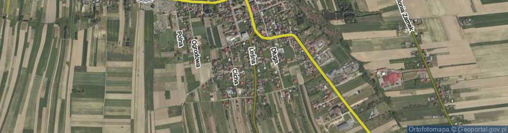 Zdjęcie satelitarne Leśna ul.