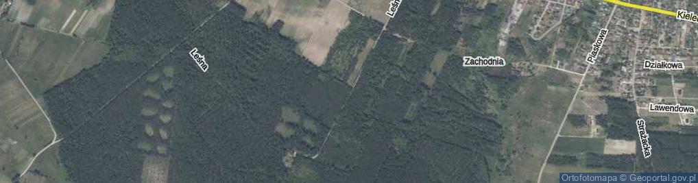 Zdjęcie satelitarne Leśna ul.