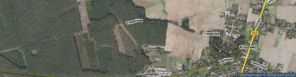 Zdjęcie satelitarne Leśnictwo Kruszewo ul.
