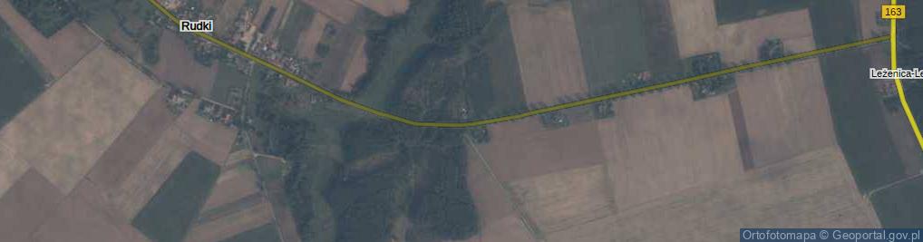 Zdjęcie satelitarne Leśnictwo Rudki ul.