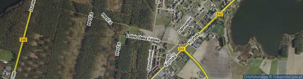 Zdjęcie satelitarne Leśniczówka Kaliska ul.