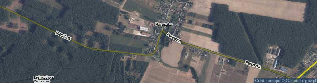 Zdjęcie satelitarne Leśnictwo Paruszka ul.