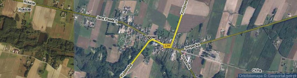 Zdjęcie satelitarne Ligowo ul.
