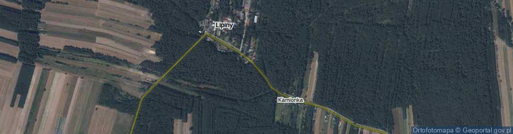 Zdjęcie satelitarne Lipiny ul.